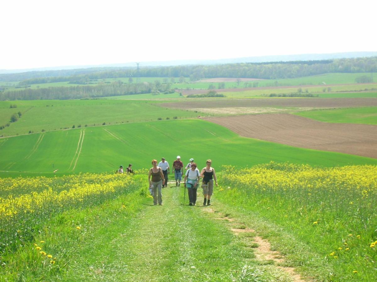 Gite La Volette Moulins-Saint-Hubert Exteriör bild