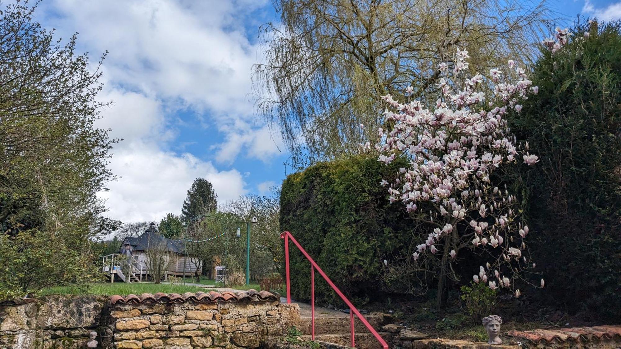 Gite La Volette Moulins-Saint-Hubert Exteriör bild